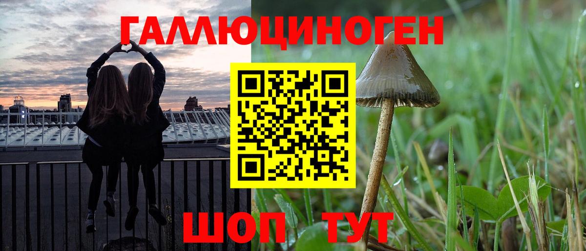 Партизанск  Псилоцибиновые грибы Psilocybine cubensis  Вход с VPN  даркнет сайт  Псилоцибиновые грибы GOLDEN TEACHER 
